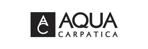 Major Sponsor Logo